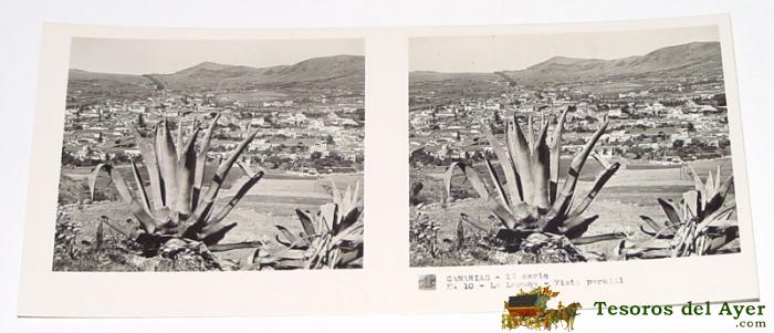 Estereoscopia - Canarias