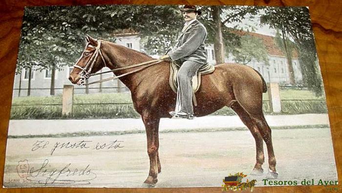 Caza, Deporte, Varios