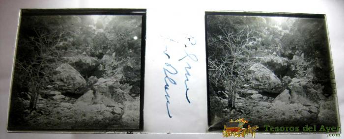 Estereoscopia - Baleares