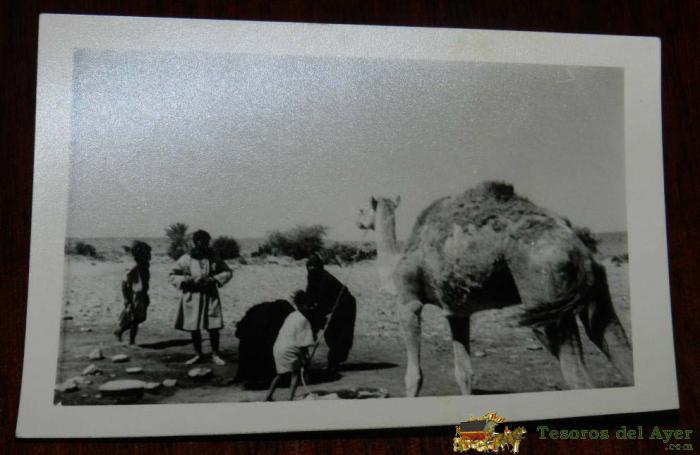 Postales De Sahara Espa�ol