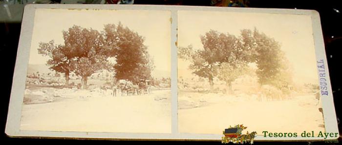 Estereoscopia - Madrid